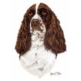 thumbnail image 3 of CafePress - English Springer Spaniel T Shirt - Men's Classic Cotton T-Shirts, 3 of 3