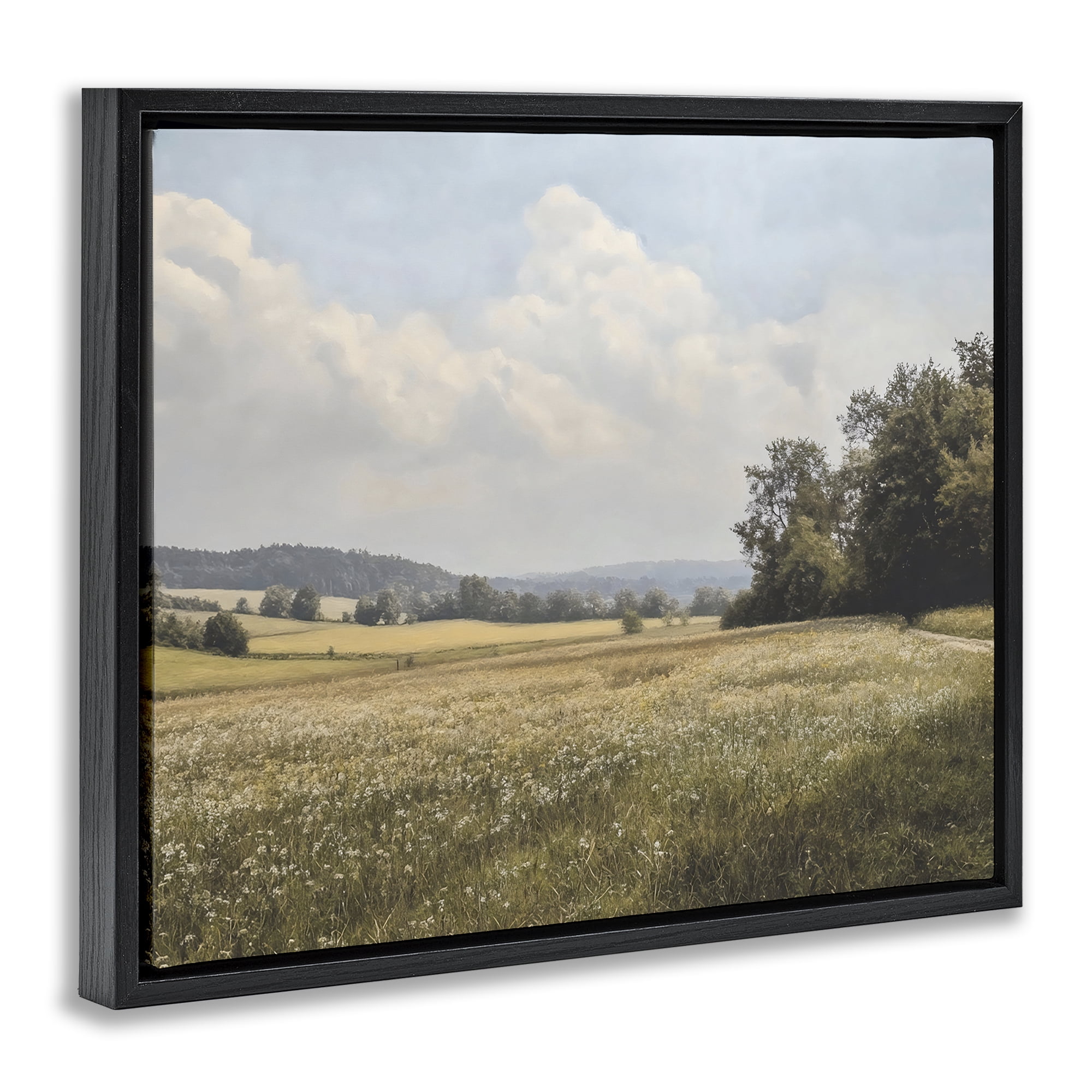 Stupell Industries Summer Landscape Cloudy Meadow Black Framed Floater Canvas Wall Art, design by Franklyn Gregory