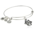 thumbnail image 1 of Alex and Ani Bracelet Amour Femme Rafaelian Argent Taille Unique, 1 of 1