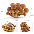 thumbnail image 1 of Simulation Vegetable Plant Figurines Realistic Mushroom Action Figure Children Cognitive Educational Toys, 1 of 6