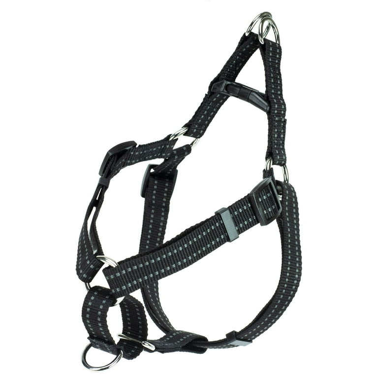 Best halter for small dogs cheap