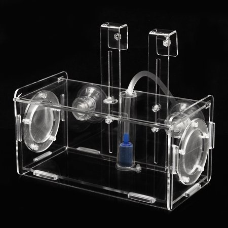 acrylic clear fish breeding
