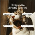 thumbnail image 6 of PetLab Co. Probiotics for Cats - Support Gut Health, Diarrhea, Digestive Health & Immune Support - Easy to Use - 30 Count, 6 of 10