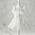 thumbnail image 4 of CBFFDC Robe pour Chat en Dentelle Ajourée Patchwork Nœud Papillon Ourlet Plissé Chien Rayé Accessoire de Photographie de Mariage, 4 of 7