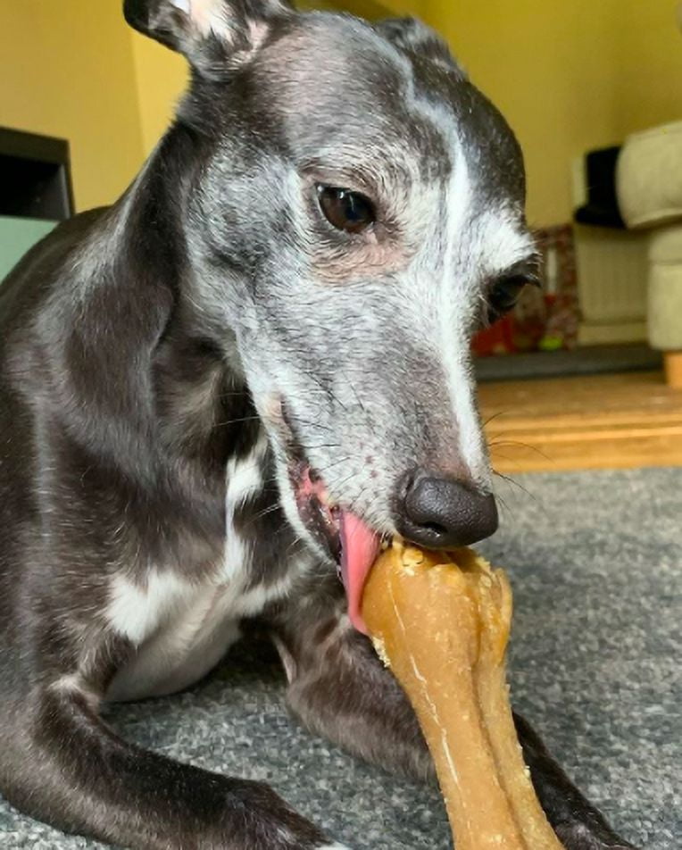 Whimzees Rice Bone Case of 50