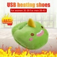 Insoles Couple Type Foot Warmer, Rechargeable Foot Warmer, Plugin Foot Dryer, Foot Warmer, High