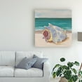 thumbnail image 3 of Trademark Fine Art 'She Sells Seashells Frame I' Canvas Art by Alicia Ludwig, 3 of 3