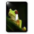 thumbnail image 1 of 3dRose Light green tree frog on a leaf - Single Toggle Switch (lsp_10383_1), 1 of 1