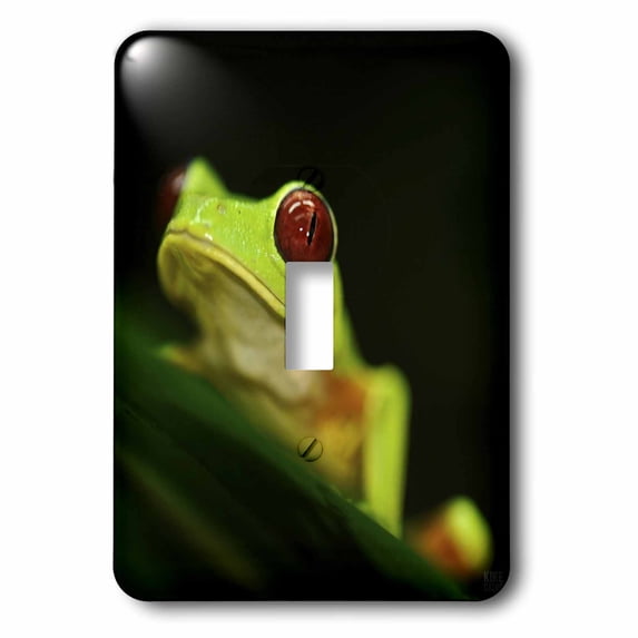 3dRose Light green tree frog on a leaf - Single Toggle Switch (lsp_10383_1)
