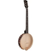 Gold Tone Bt-2000 6-String Banjitar