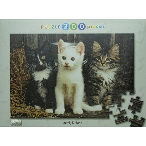 Tomax Jigsaw Puzzle - Lovely Kittens (300 Pieces)