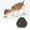 Green, variant on Small Slow Feeder Cat Dog Bowls, Puzzle Dog Bowl with Anti-, Pet Food Bowls for Fast Eaters,Interactive Dog Feeding Dishes to Slow Down Eating, Bloat Stop Bowls for Small Medium Dogs and Cats