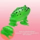 thumbnail image 3 of Vogacara Inflable Ojos Brillantes Rana PVC Juguete Luminoso Elástico Brillante Modelo Clásico Juguetes de Rebote para Niños Niños Niñas Juguetes, 3 of 6
