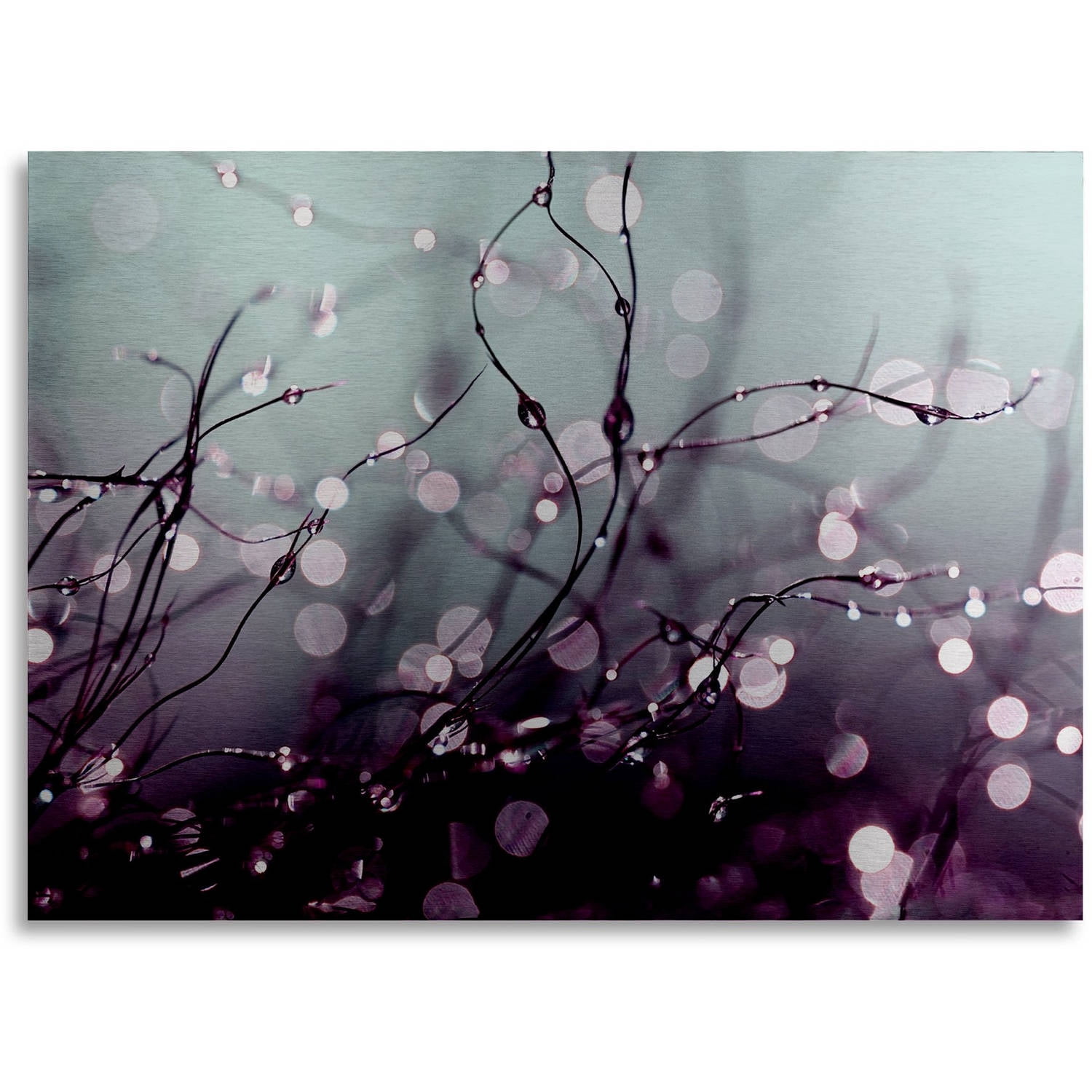 Trademark Fine Art "Over the Rainbow" Brushed Aluminum Wall Art Art by Beata Czyzowska Young 16" x 22"