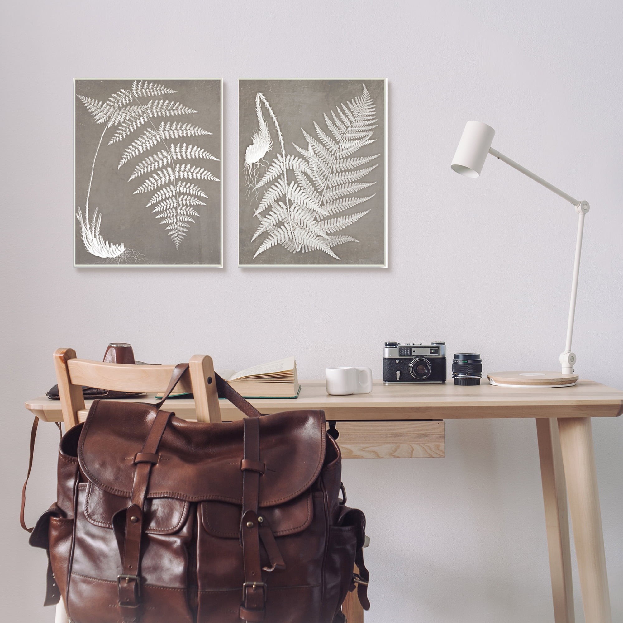 Stupell Industries Detailed Fern Plant White Botanical Herb Roots Graphic Art Unframed Art Print Wall Art, Set of 2, Design by Graffitee Studios