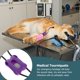 thumbnail image 5 of 4 vendajes de emergencia para traumatismos de mascotas, torniquetes de control hemostático, vendajes de emergencia., 5 of 8
