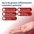 thumbnail image 3 of Metagenics SPM Active One Daily - Joint Soreness Supplement* - Encourages Soothing Relief* - Features Next Generation Omega Fish Oil - Non-GMO & Gluten-Free - 30 Softgels, 3 of 9