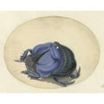 thumbnail image 2 of Jan Augustin van der Goes 24x20 Black Ornate Framed Double Matted Museum Art Print Titled: Blue Beetle (1690), 2 of 5