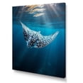 thumbnail image 2 of Designart "Ray beautyful Glide Ocean" Animals Wall Decor, 2 of 5