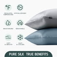 thumbnail image 2 of 22 Momme Mulberry Silk Pillowcase, 6A Hypoallergenic, Hidden Zipper, Queen Haze Blue, 1 Pack, 2 of 7
