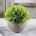 thumbnail image 3 of Mini plantas suculentas artificiales con maceta, planta decorativa para el hogar, jardín, cocina, boda interior y exterior, 3 of 4