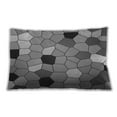 thumbnail image 1 of Ahgly Company Indoor Rectangular Contemporary Lumbar Throw Pillow, 13 inch by 19 inch, 1 of 5