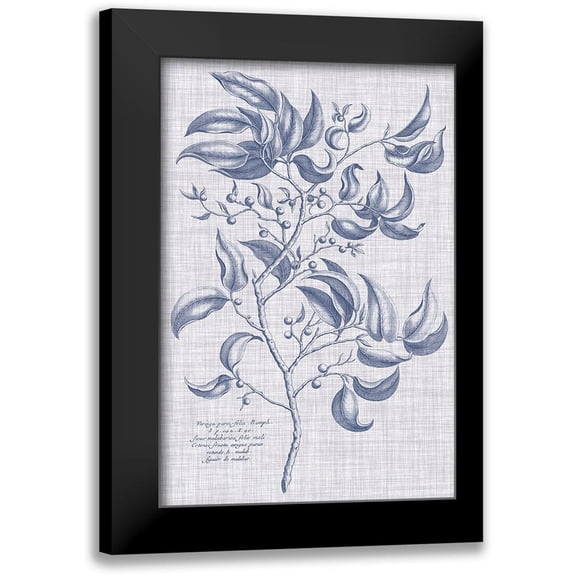 Vision Studio 11x14 Black Modern Framed Museum Art Print Titled - Navy And Linen Botanical III