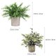 thumbnail image 2 of WEUVEB 1Jgo Planta Decorativa Artificial Colgante Con Material Duradero Y, 2 of 7