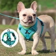thumbnail image 2 of No Pull Dog Harness and Leash Set Adjustable Pet Harness Vest For Small Dogs Cats Reflective Mesh Dog Chest Strap French Bulldog, 2 of 6