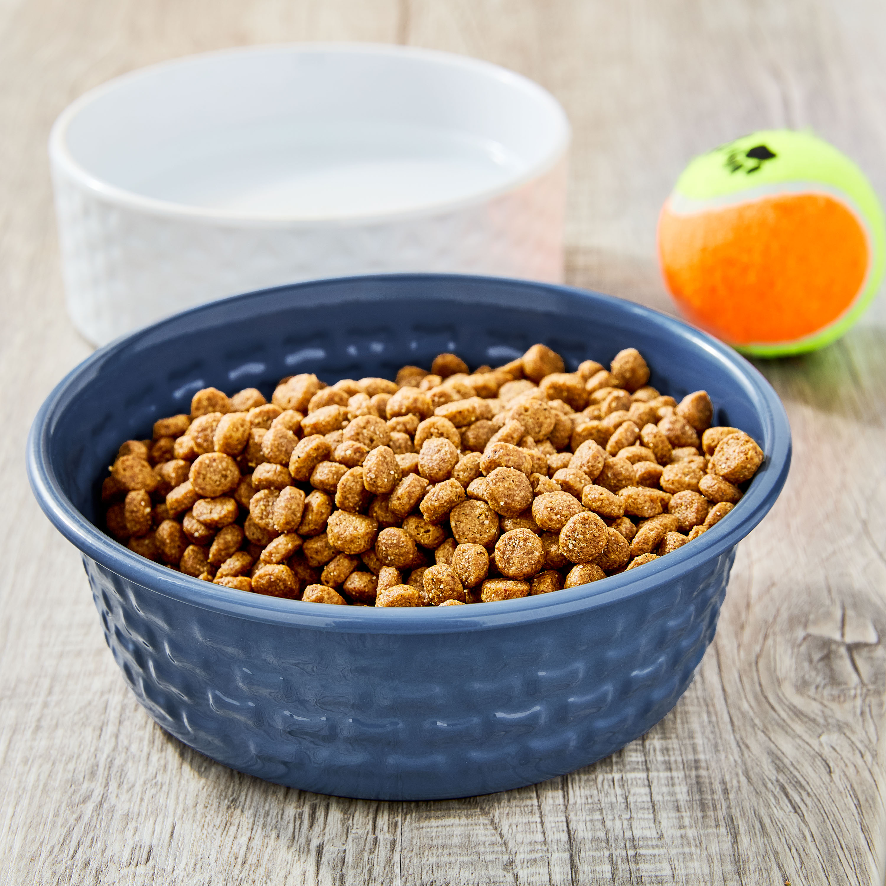 Vibrant Life Medium Stainless Steel Embossed Dog Bowl, Blue Bones