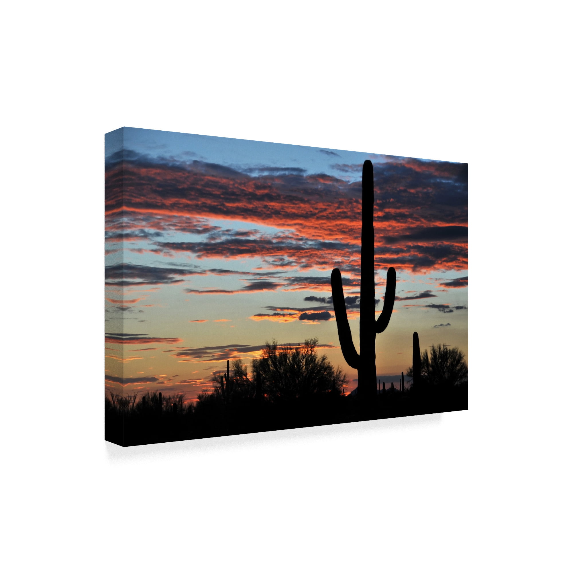 Trademark Fine Art 'Hands Off' Canvas Art by Philippe Sainte-Laudy
