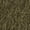 Burnt Olive, variant on No Boundaries Asymmetrical Lace Midi Skirt, Women's XXS-XXL