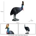 thumbnail image 4 of Ksopiavobs Realistic Animal Figures Cassowary Bird Figurines, Science Project, Cake Topper, Early Educational Toys Birthday for Toddlers Kids Age 3 4 5, 4 of 6