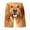 Z-Brown2, variant on Casual Shorts For Men Funny Dog Printed Shorts Stretchy Waist Drawstring Soft Breathable Homewear Shorts Comfy Summer Clothes