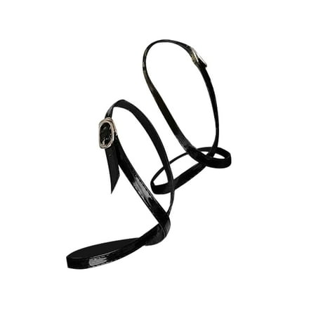 

Frcolor Fashionable High Heels Leather Flexible Detachable Shoelace Accessories Shoe Straps (Black)