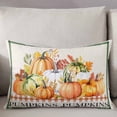 thumbnail image 3 of Vintage Thanksgiving Throw Pillow Cover 20 x 26 Inch Decorative Pillow Cover Orange Pumpkins Rustic Fall Lumbar Pillowcase Seasonal Rectangle Cushion Case for Couch Sofa Bed Living Room, 3 of 7