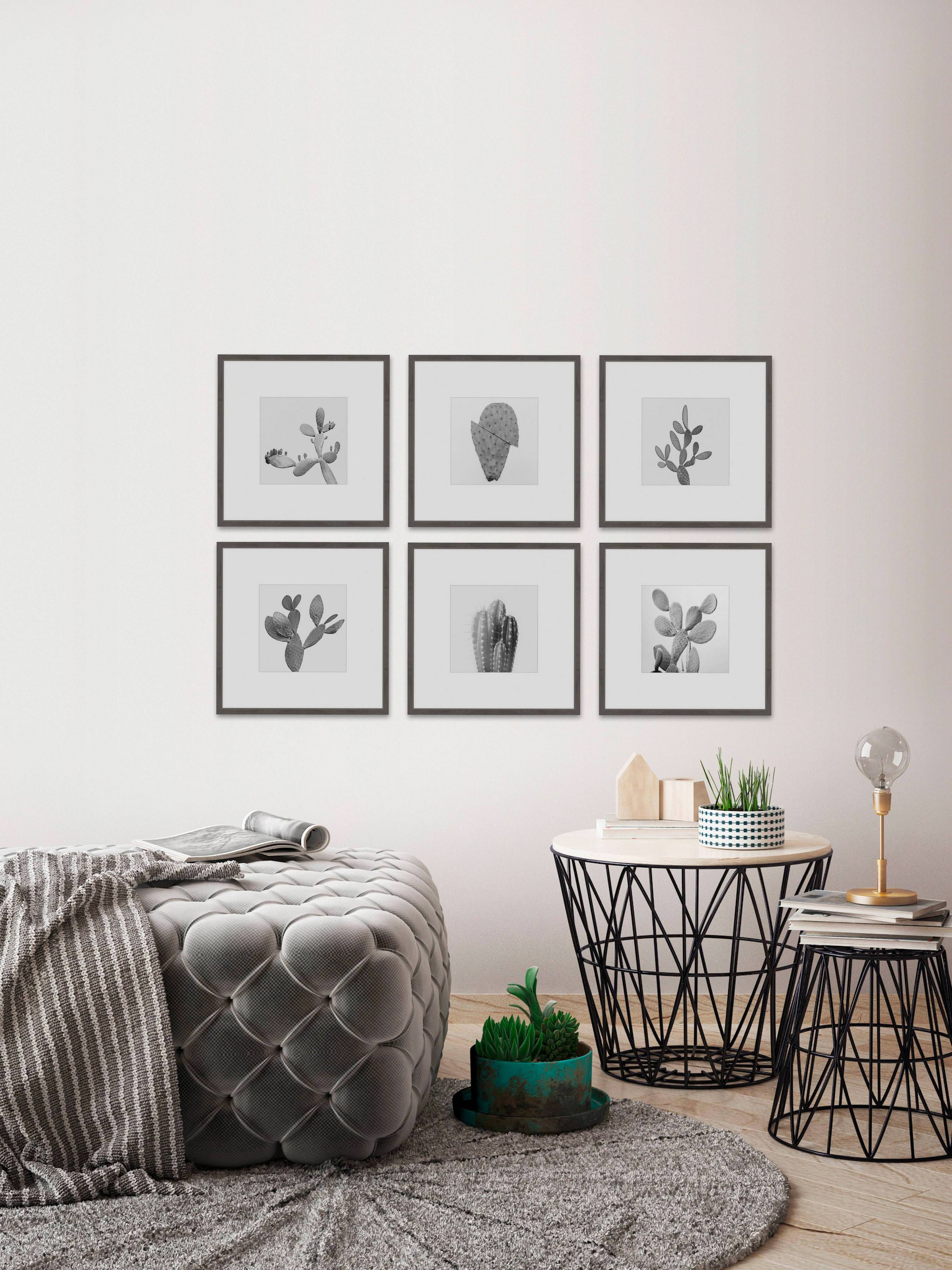 Cactus Variety Ii He x aptych, Art Prints, 54.00" x 1.50"