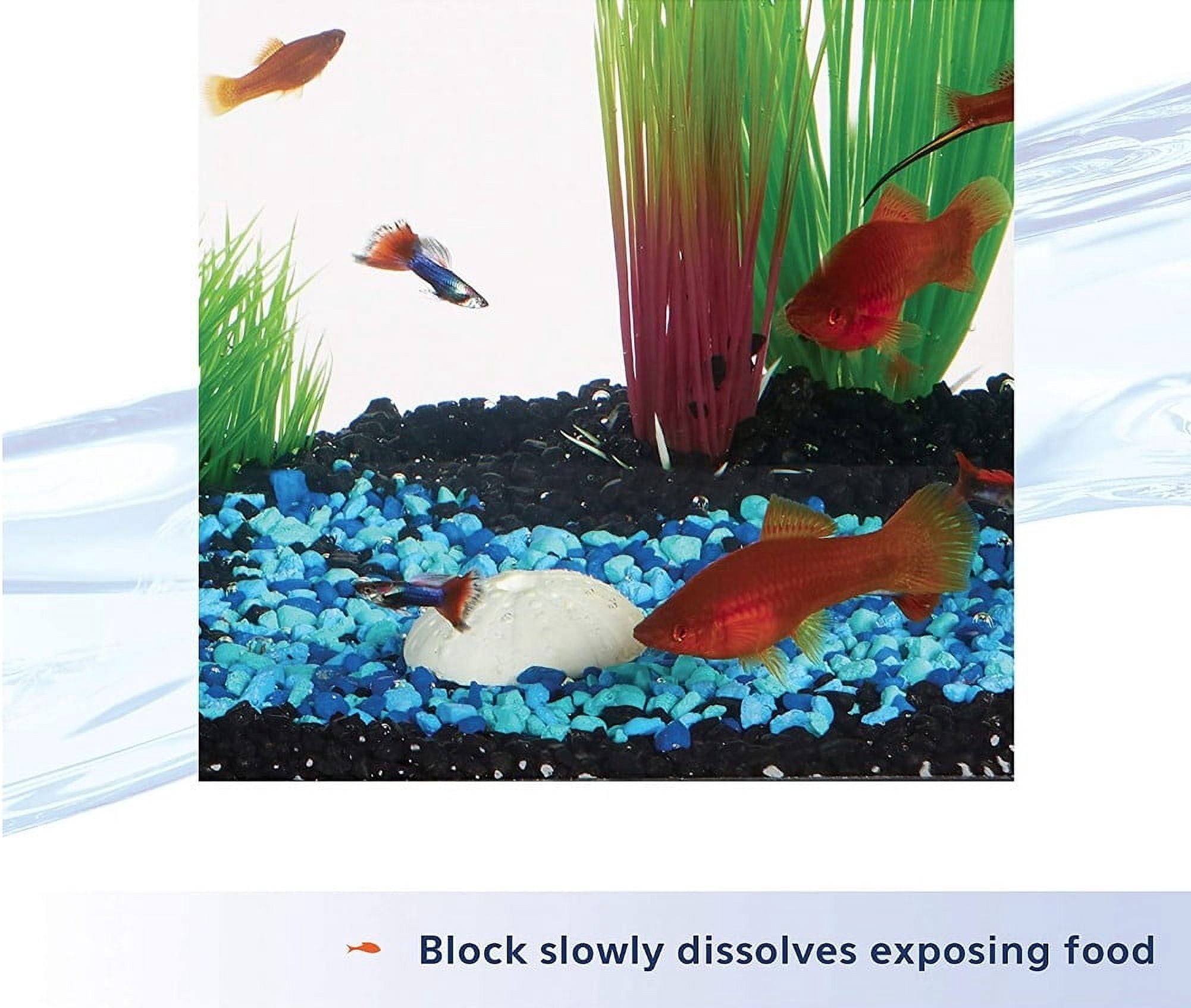 Aqueon 7-Day Fish Food Feeder [Aquarium Vacation Fish Food, Aquarium Supplies] 6 count
