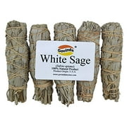 Govinda - Pack of 5 Mini White Sage Smudge Stick, 4 Inch Long