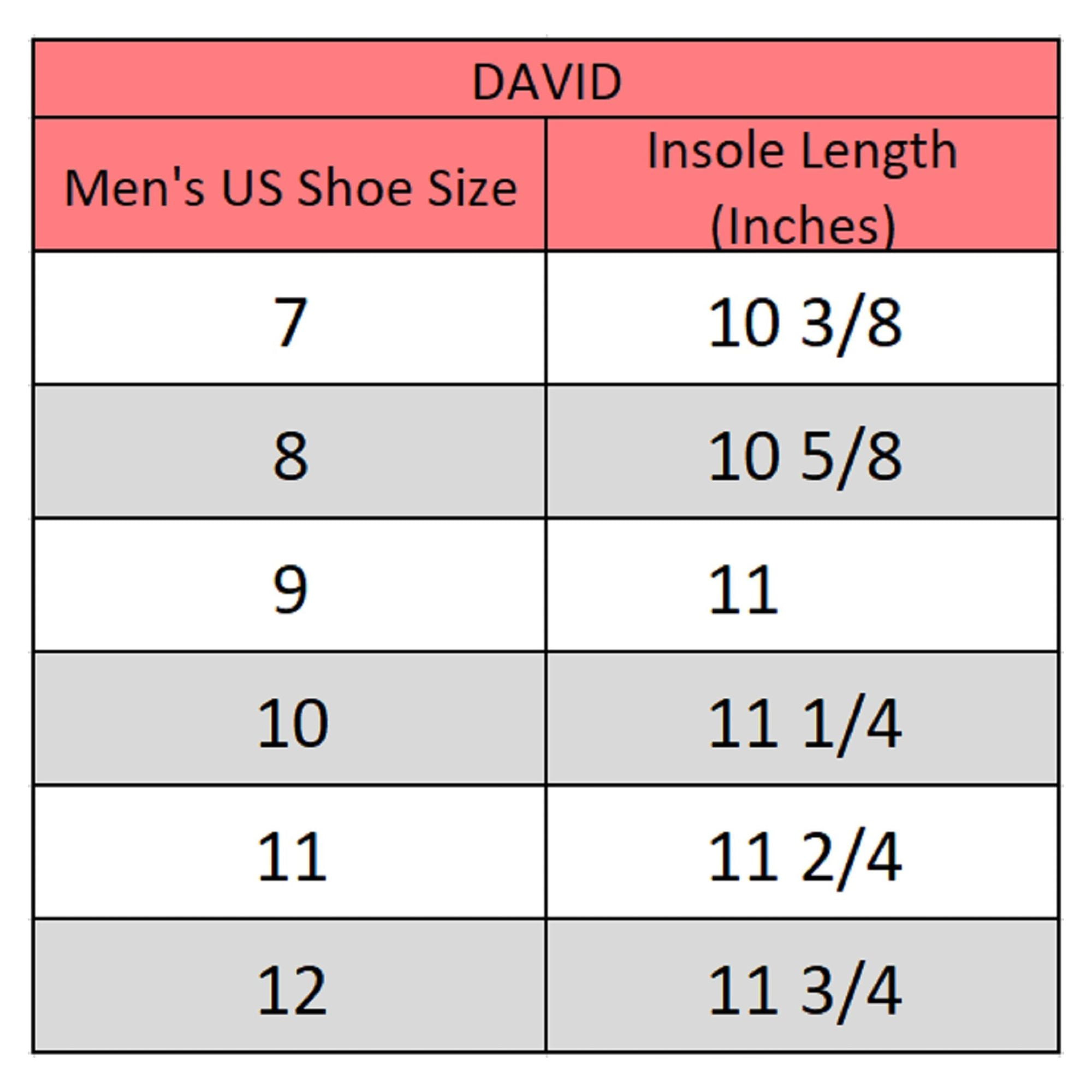 David Mens Fashion Sneakers Lace Up Low Top Retro Tennis Shoes