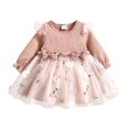 thumbnail image 1 of PatPat Baby Girl Pink Mesh Dress Set,Ribbed Long Sleeve Splicing Floral Appliques Princess Dress Pageant Party Birthday Wedding Flower Girl Dress,0-3T, 1 of 7