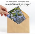 thumbnail image 3 of Bentley Seed Co. Seeds of Remembrance – 25 Packets of Non-GMO Forget-Me-Not Flower Seeds, Perfect for Memorial Services, Funerals, and Celebration of Life Favors, 3 of 5