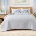 thumbnail image 5 of Coastal Quilt Set - Lightweight, Soft, All-Season - 2-Piece Reversible Seashell Bedding Set (Twin / Twin XL, Scattered Shells), 5 of 6