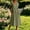 Army Green, variant on Women's Cotton Linen V‑Neck Midi Dress Short Sleeve Button Front Casual Loose A‑Line Dress with Functional Side Pockets Army Green S(S)
