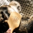 thumbnail image 2 of Doggy Style Small Bamboo Dog Brush for Small Breeds, Sustainable Bamboo Pin Bristles, Ergonomic Handle, Deshedding and Detangling Grooming Brush, 2 of 8