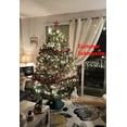 thumbnail image 2 of Real Christmas Trees Delivered 7 Foot Premium Balsam Fir Christmas Tree, 2 of 8