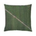 thumbnail image 2 of Ahgly Company Color Focus Green Outdoor Throw Pillow, 18 inch by 18 inch, 2 of 6