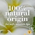 thumbnail image 5 of Burt's Bees 100% Natural Moisturizing Lip Balm, Cucumber Mint, 1 Count, 5 of 10