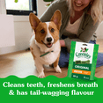 thumbnail image 3 of Greenies Original PETITE Oral Care Natural Dental Adult Dog Treats, 3 of 14