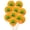 A, variant on Moocorvic St Patrick's Day Decoration,Latex And Foil Balloons Kit Round Balloons